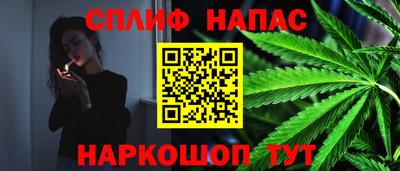 индика Пыть-Ях